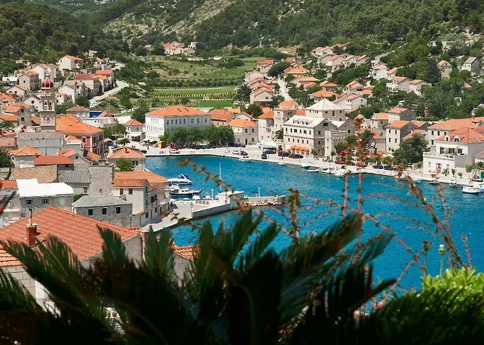 The White House, Brac * プチシャ